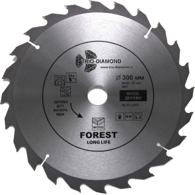 0-disk-pilnyi-300x32x24t-fll823